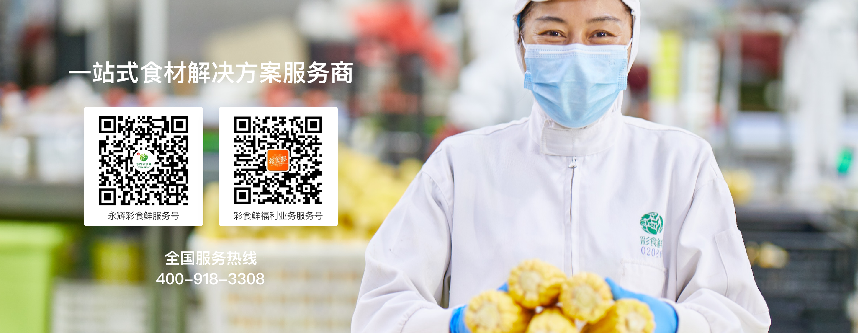 z6尊龙凯时食鲜-关于彩食鲜-食材解决商
